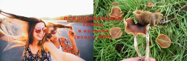 не бодяженный Зеленодольск