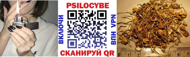 Псилоцибиновые грибы ЛСД  Купить закладки  Никольск 